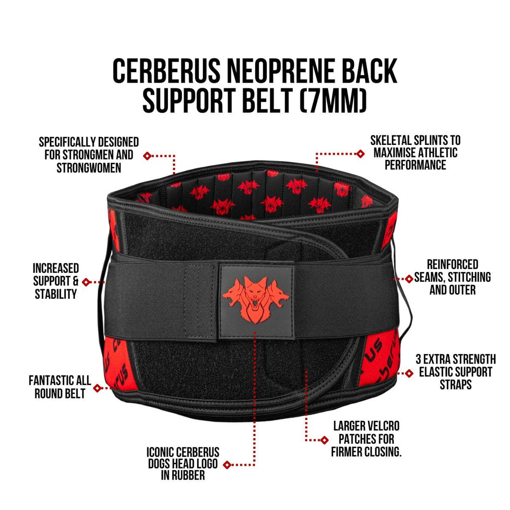 Back Support Belt