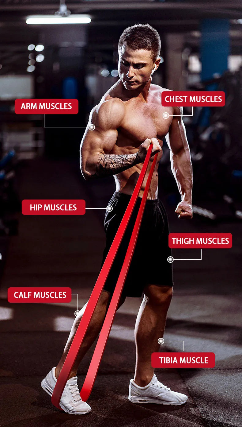 Pull Up Assistance/Resistance Band Set