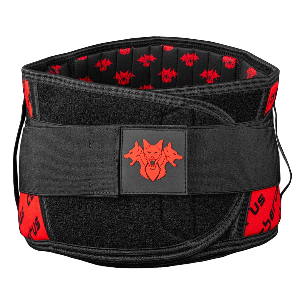 Back Support Belt