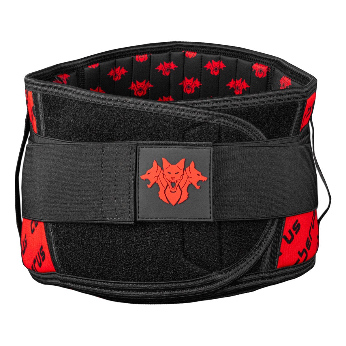Back Support Belt