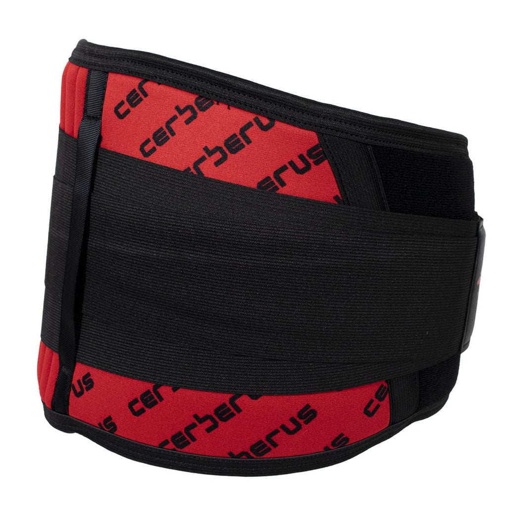 Back Support Belt