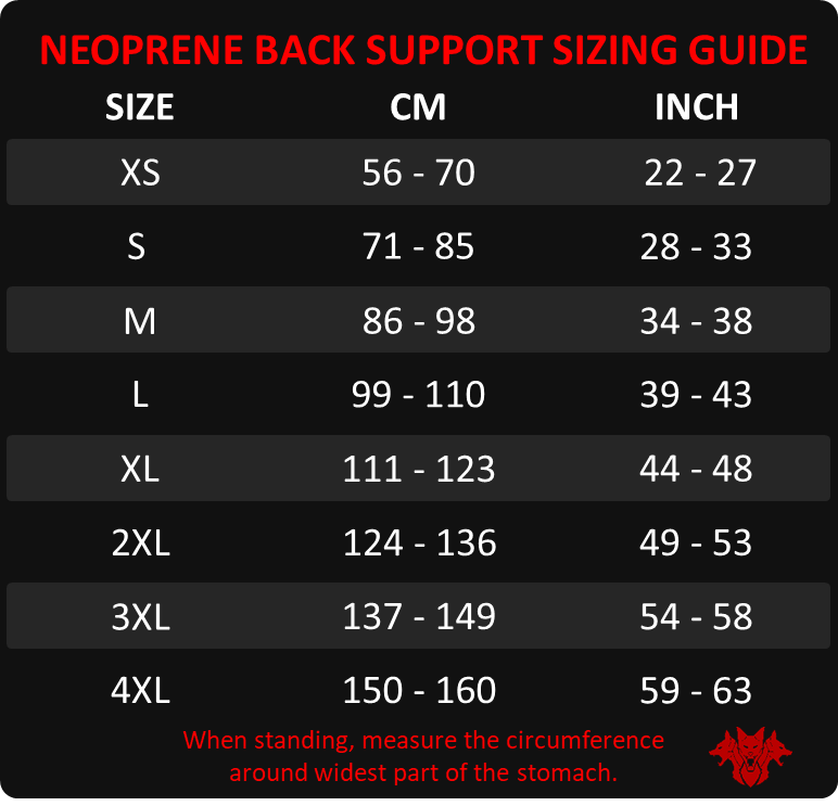 Back Support Belt