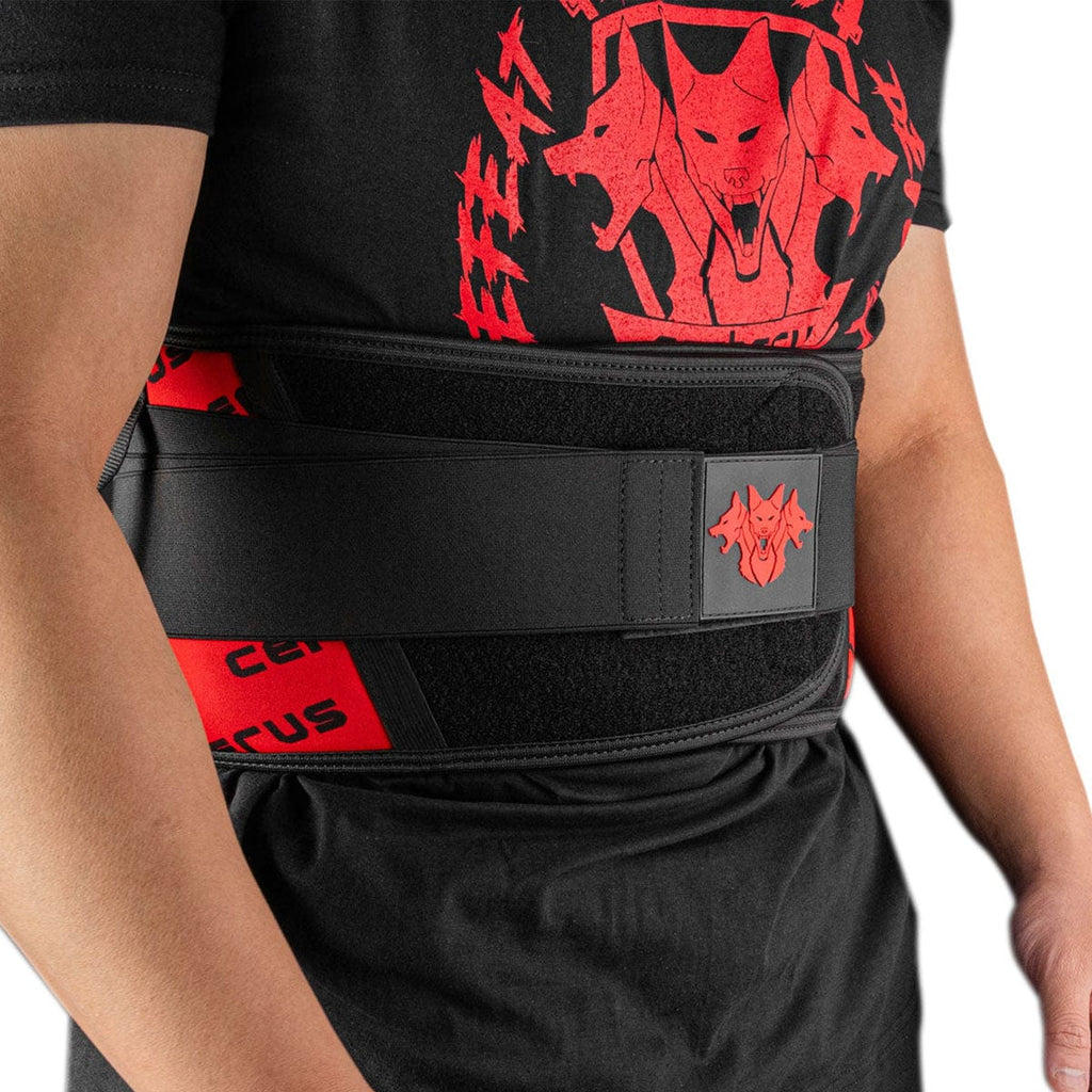 Back Support Belt