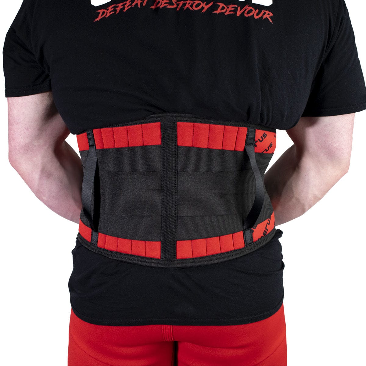 Back Support Belt