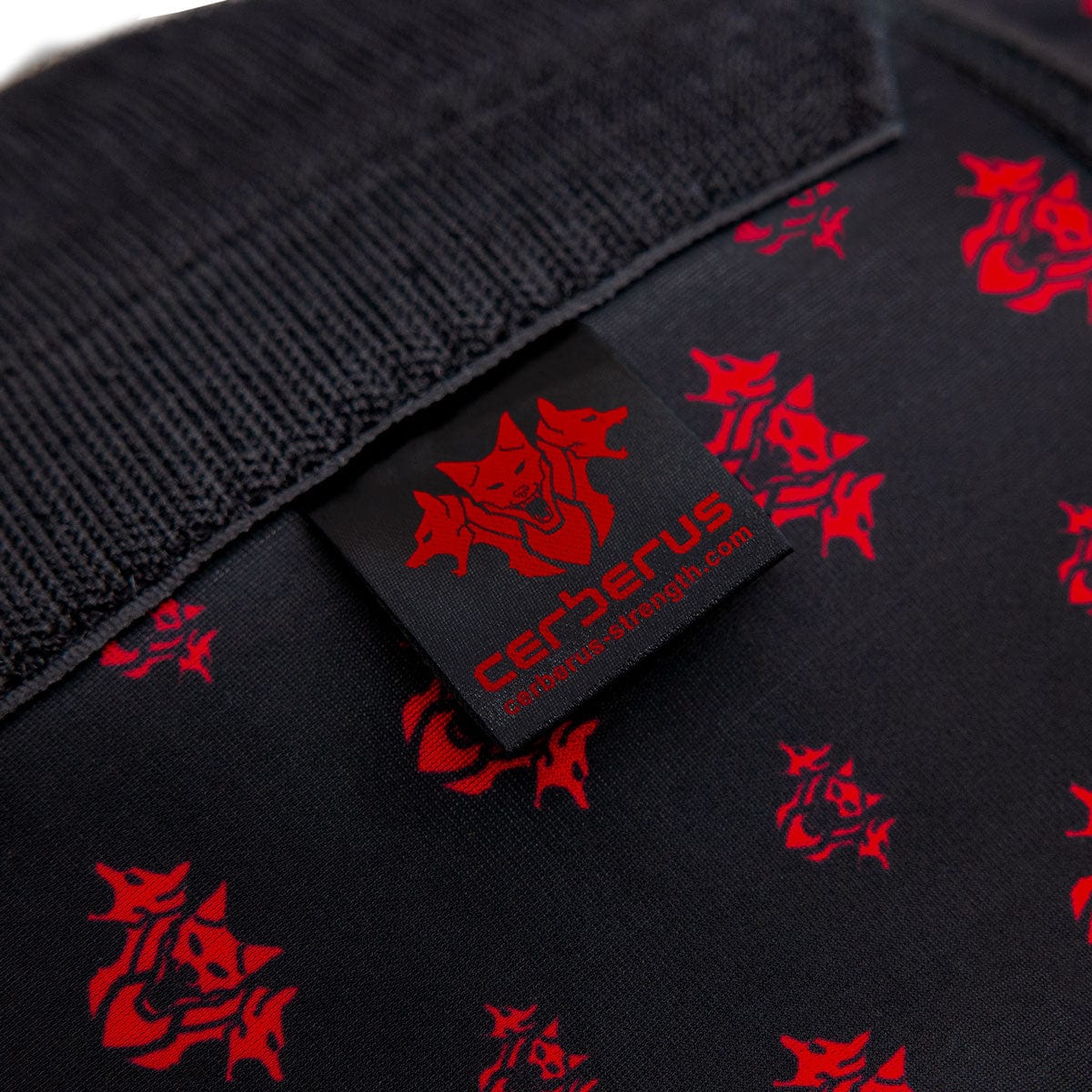 Back Support Belt